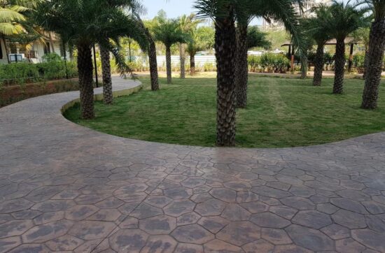 landscape1